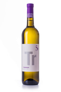 Traminer aus Meissen